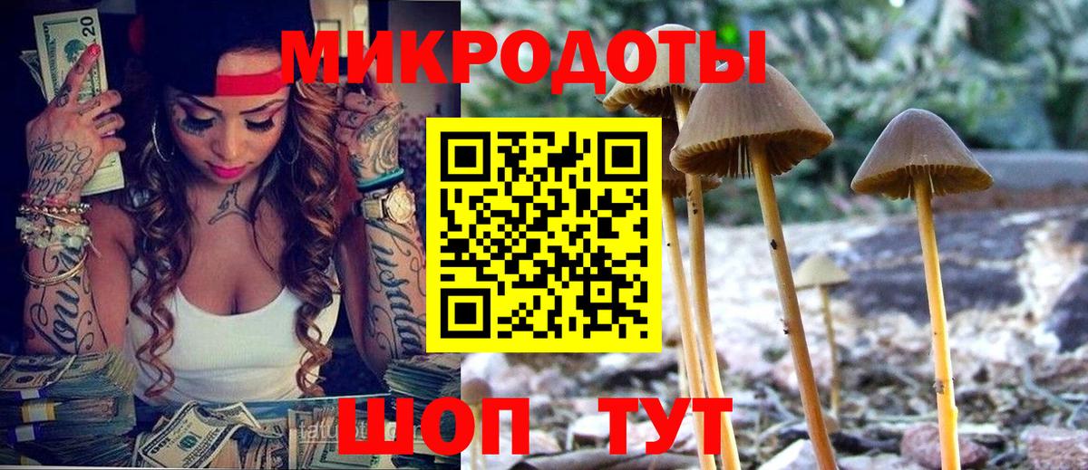 Полысаево  Псилоцибиновые грибы прущие грибы  Псилоцибиновые грибы Psilocybine cubensis  Вход с VPN 