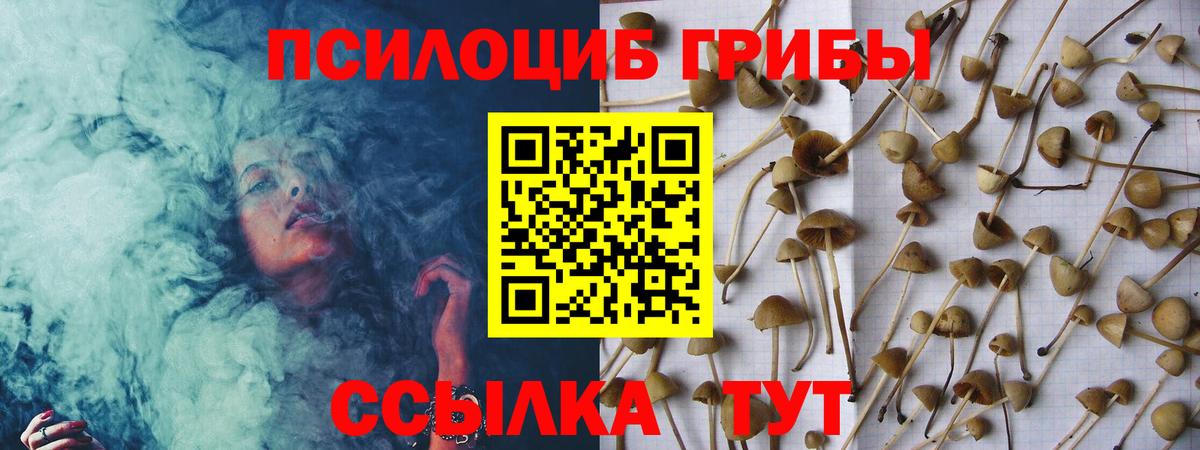 Галлюциногенные грибы прущие грибы Полысаево